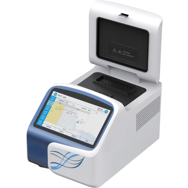 Real-time Fluorescent Quantitative PCR