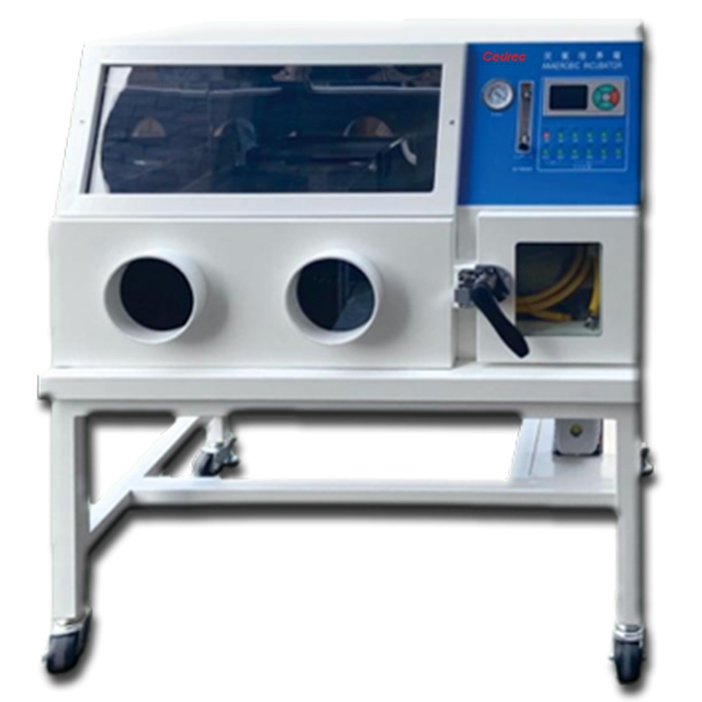 Anaerobic incubator CDQX-II