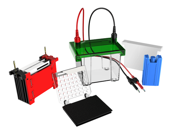 Transfer Electrophoresis Tank CD-ZY02 (Dual Gels)