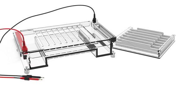 Agarose Horizontal Electrophoresis Tank CD-H04