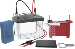 Transfer electrophoresis tank CD-ZY03
