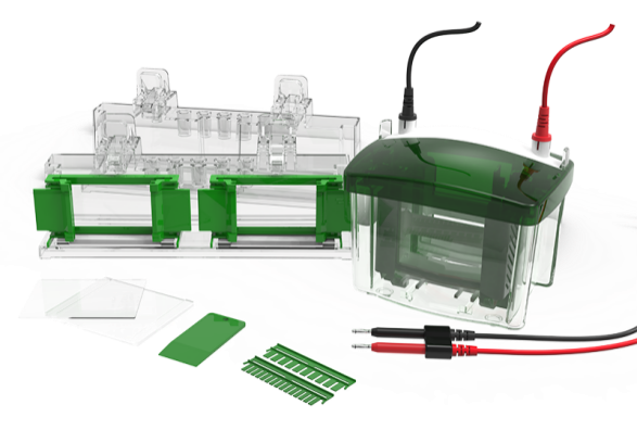 Vertical Electrophoresis Tank (Four Plates) CD-MINI04