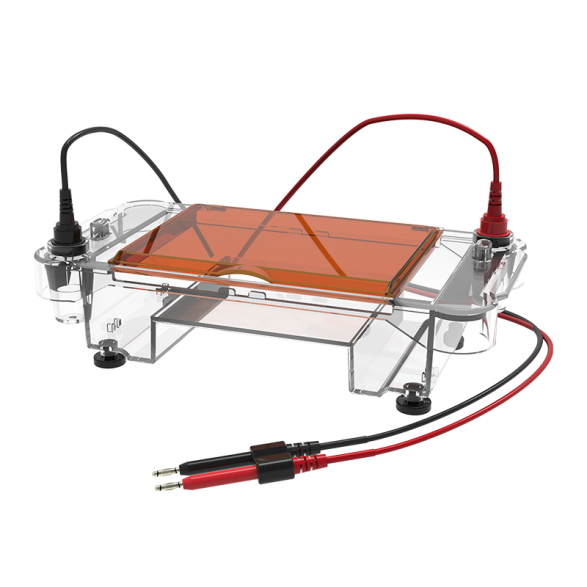 Agarose Horizontal Electrophoresis Tank CD-H03/03+
