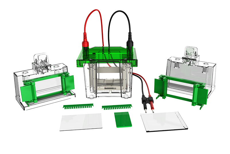 Vertical Electrophoresis Tank (Dual Plates) CD-MINI01/CD-MINI02